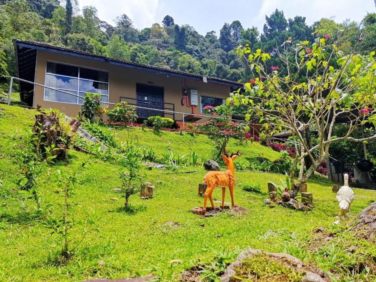 J Residence Kampong Kundassan Buitenkant foto